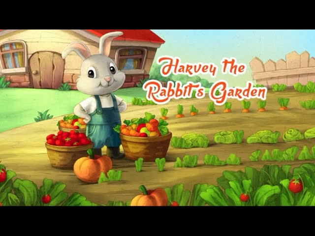 rabbit garden